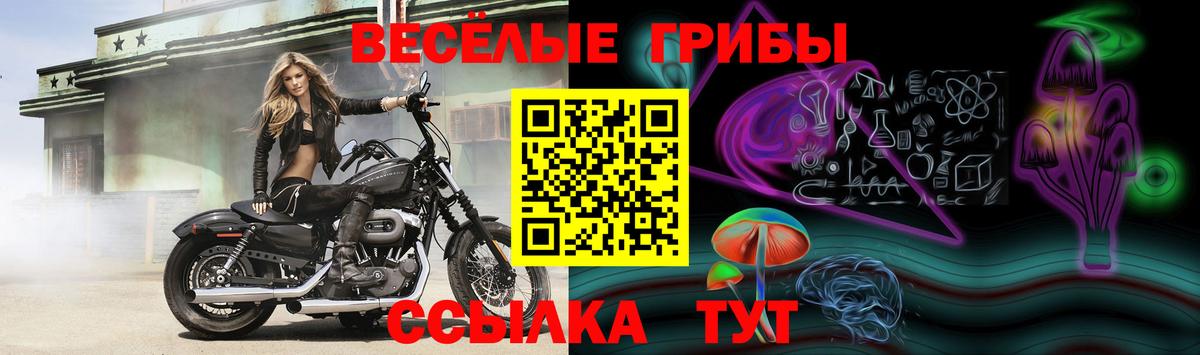 Галлюциногенные грибы MAGIC MUSHROOMS  Вход с VPN  Кимры 